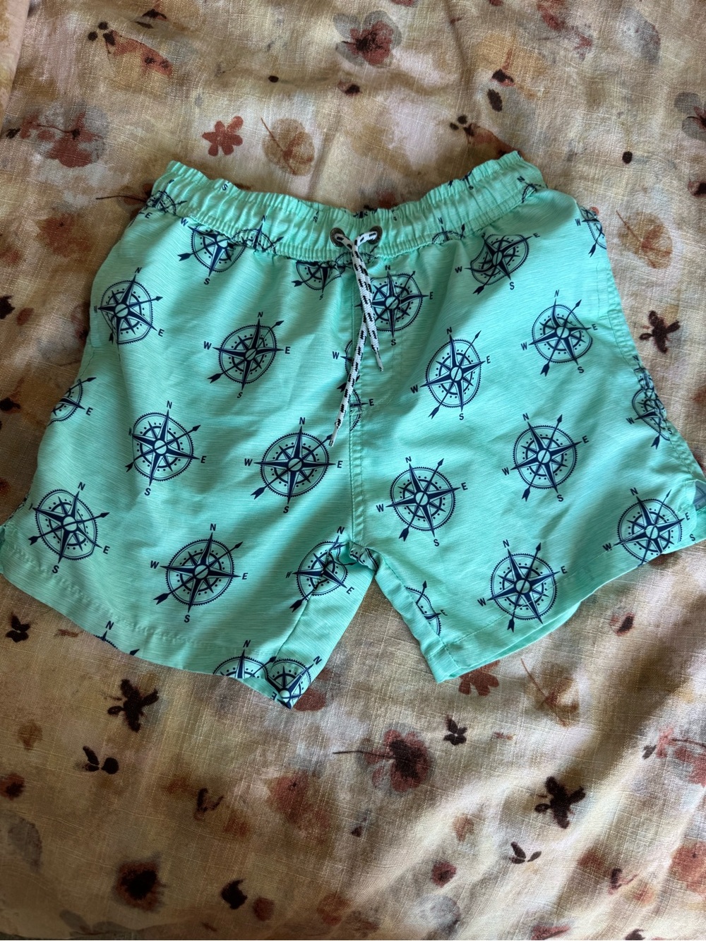 Snapper Rock Mint Swim Trunks with Navy Compass Print